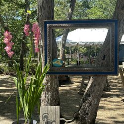 Martha's Vineyard Family Campground