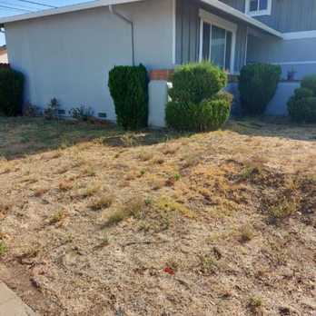 Cruz Landscaping Services - Before Front Yard - Fences & Gates Near Me
