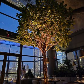 One40 Rooftop - Dining room indoor tree. - Breakfast & Brunch Near Me - New York, New York One40 Rooftop - Dining room indoor tree. - Breakfast & Brunch Near Me - New York, New York