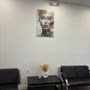 Chloe Beauty & Brows