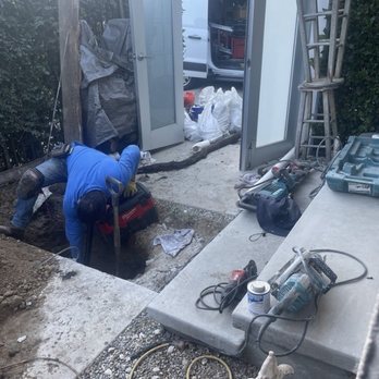 Plumbing Dudes - A six foot root removed from our drain to the street. - Plumbing Near Me - Burbank, California