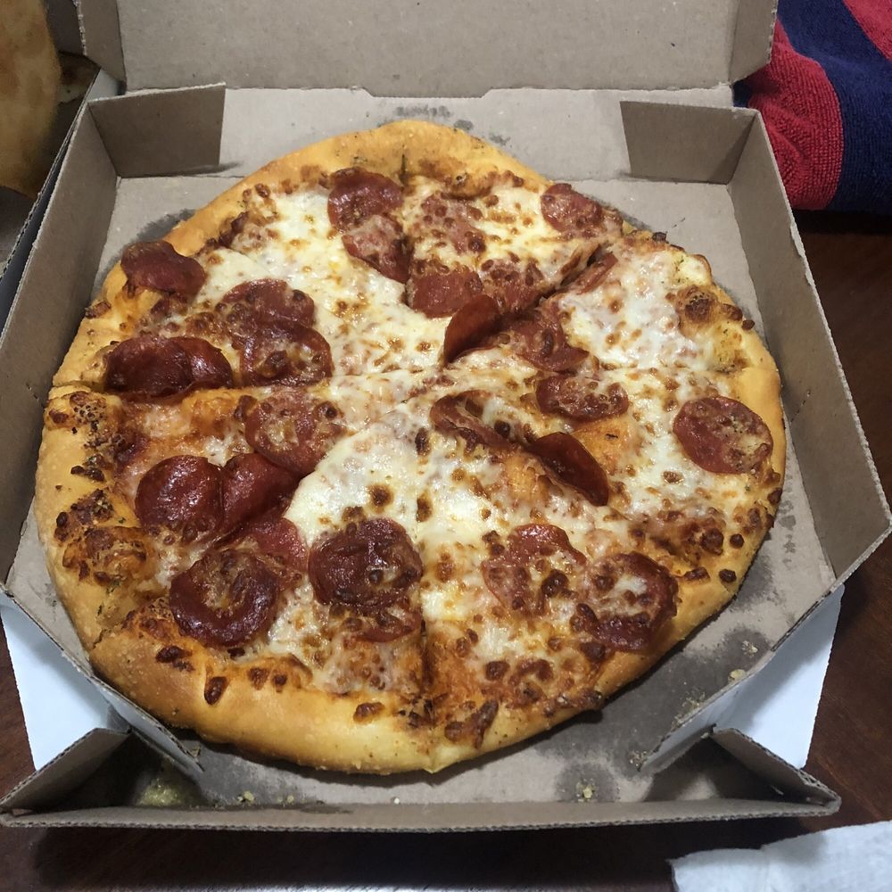 Domino's Pizza Logo