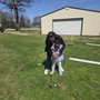 Photo of Hitem Straight Golf Complex