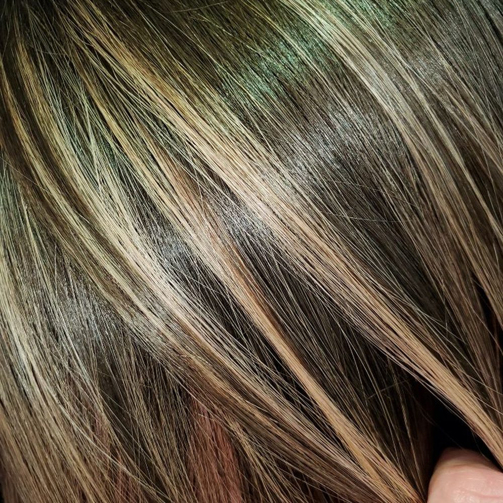 Hair Cuttery Suntree Collection 6 Videos and 20+ Images