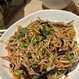 Veg Hakka Noodles