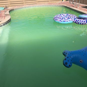 Sun Valley Pool Service - New customer called asking for service. Was tired of their pool always turning green. - Pool Cleaners Near Me Sun Valley Pool Service - New customer called asking for service. Was tired of their pool always turning green. - Pool Cleaners Near Me