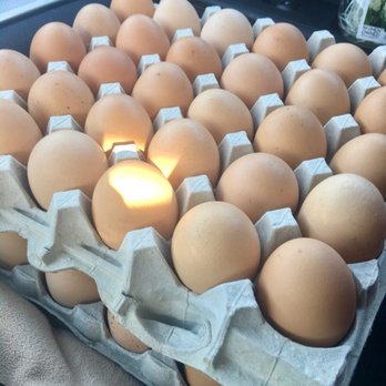 Billy's Egg Farm - Omega eggs are the best! - Specialty Food Near Me - Chino, California