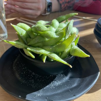 Aoyama Ramen - Edamame - Ramen Near Me - Newtown Square, Pennsylvania