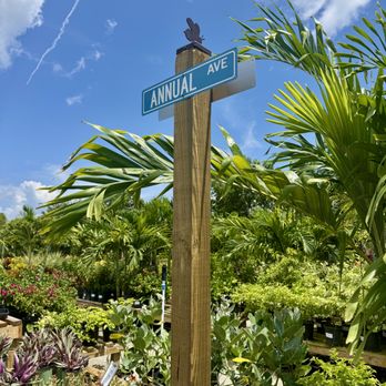 Fiores - Landscaping Near Me - Fort Myers, Florida Fiores - Landscaping Near Me - Fort Myers, Florida