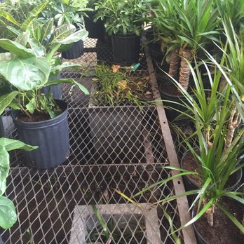 Lowe's Home Improvement - Rat nests - Hardware Stores Near Me - Charleston, South Carolina