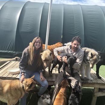Dog Cabin Resort - Pet Groomers Near Me - Gunnison, Colorado Dog Cabin Resort - Pet Groomers Near Me - Gunnison, Colorado