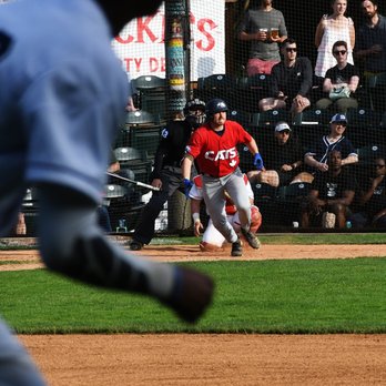 Portland Pickles - The view from the outfield is terrific. - Professional Sports Teams Near Me - Portland, Oregon Portland Pickles - The view from the outfield is terrific. - Professional Sports Teams Near Me - Portland, Oregon