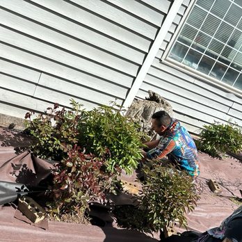 Padilla Lawn Care - Lawn Services Near Me Padilla Lawn Care - Lawn Services Near Me