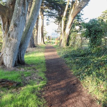 Clement Trail - Hiking Near Me - San Francisco, California Clement Trail - Hiking Near Me - San Francisco, California