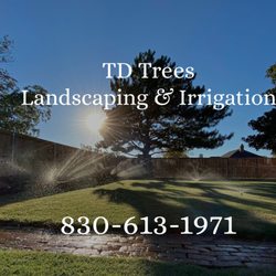 TD Trees