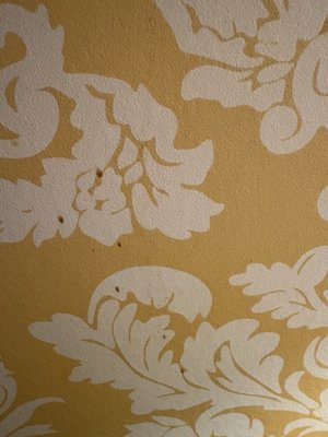 Stanyan Park Hotel by null