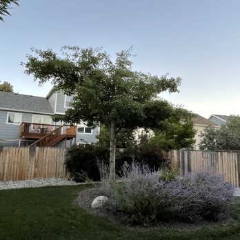 Mr Squid's Maintenance Solutions - Gutter Services Near Me - Colorado Springs, Colorado Mr Squid's Maintenance Solutions - Gutter Services Near Me - Colorado Springs, Colorado