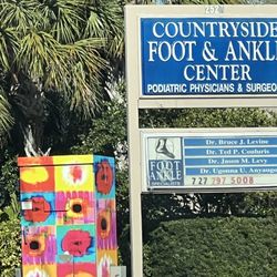 Foot & Ankle Specialists - Nicely painted electric box outside! Art!