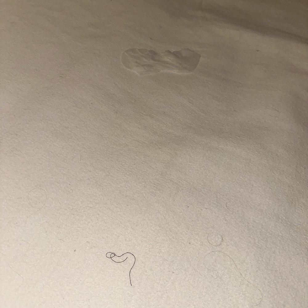 Mammoth Creek Inn - Hair everywhere on bed. - Ski Resorts Near Me - Mammoth Lakes, California Mammoth Creek Inn - Hair everywhere on bed. - Ski Resorts Near Me - Mammoth Lakes, California