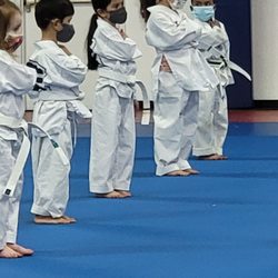 TAEKWO Amazon.com : Generic Taekwondo Forearm Protectors