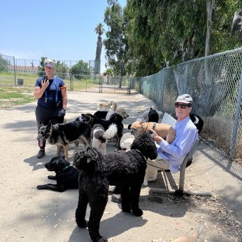 Barrington Dog Park - Brady chillin the big boys. - Dog Parks Near Me - Los Angeles, California Barrington Dog Park - Brady chillin the big boys. - Dog Parks Near Me - Los Angeles, California