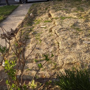 Drain Geeks - My sinking yard. - Plumbing Near Me - Linthicum Heights, Maryland