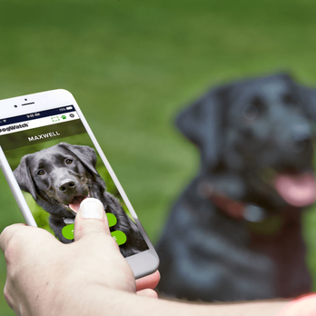 Fido's Fences - The SmartFence App - The Next Generation of Pet Fencing. - Pet Training Near Me - Morristown, New Jersey Fido's Fences - The SmartFence App - The Next Generation of Pet Fencing. - Pet Training Near Me - Morristown, New Jersey