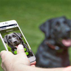 Fido's Fences - The SmartFence App - The Next Generation of Pet Fencing.