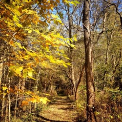 Pecatonica River Forest Preserve - Trail