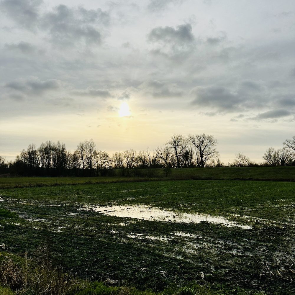Wal-Zwijn - Winterzonnetje - Hiking Near Me - Hamme, VOV