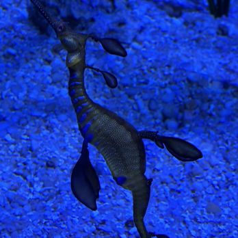 Columbus Zoo and Aquarium - Zoos Near Me - Powell, Ohio