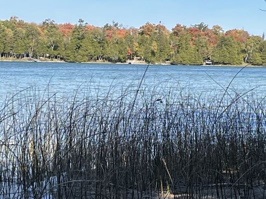 Newport State Park by null