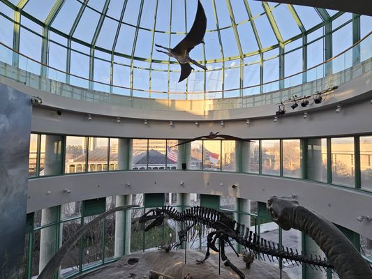 North Carolina Museum of Natural Sciences by null