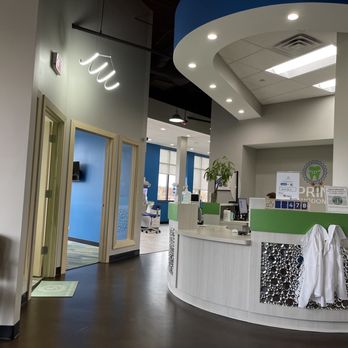 Spring Orthodontics - Reception area - Orthodontists Near Me - Western Springs, Illinois Spring Orthodontics - Reception area - Orthodontists Near Me - Western Springs, Illinois