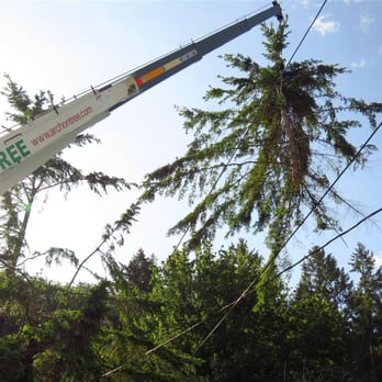 Archon Tree Services - Our crane in action, so we don't need to fall big pieces on your property! - Tree Services Near Me - Olalla, Washington Archon Tree Services - Our crane in action, so we don't need to fall big pieces on your property! - Tree Services Near Me - Olalla, Washington