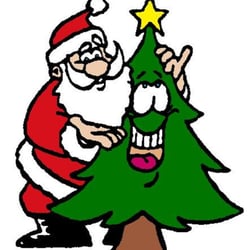 Blue Ridge Christmas Tree Farm