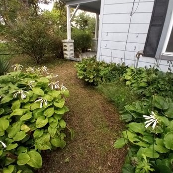 Affordable Lawns - All done - Lawn Services Near Me Affordable Lawns - All done - Lawn Services Near Me
