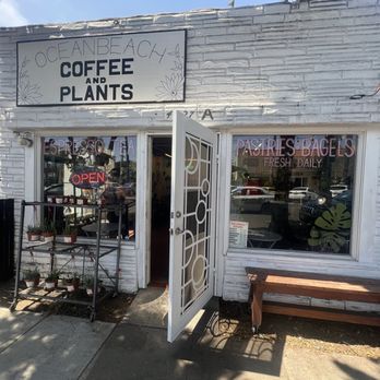 Ocean Beach Coffee and plants - Coffee & Tea Near Me - San Diego, California Ocean Beach Coffee and plants - Coffee & Tea Near Me - San Diego, California