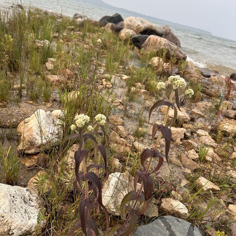 Castle Rock Mackinac Trail Campark - Rock hunting - Campgrounds Near Me - Saint Ignace, Michigan