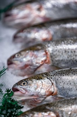 Pike Place Fish Market by null