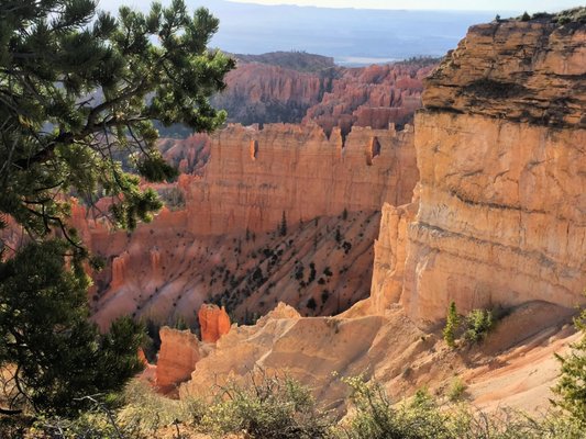 Canyon Fever Guides by null