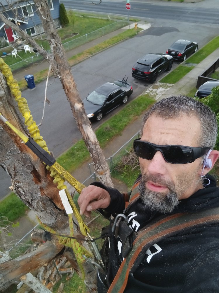 TREE C’S TREES Updated July 2024 Spokane, Washington Tree