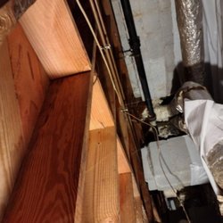 Atlanta Mold & Cleaning