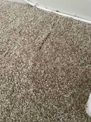 Calvetta Bros Floor Show