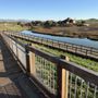 Photo of Hike the Mallard Slough Trail - Alviso