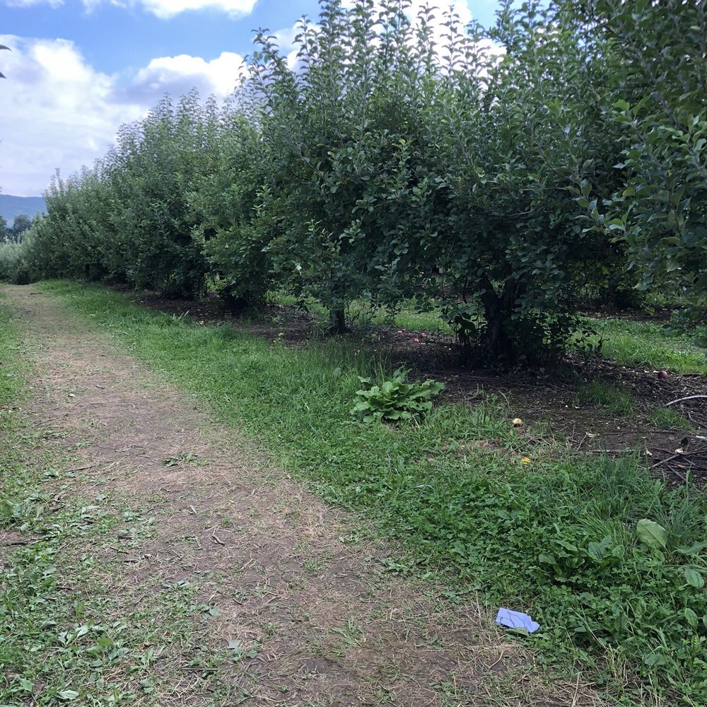 Barton Orchards - Farmers Market Near Me - Poughquag, New York