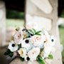 Photo of Sarah C. Brown Designs