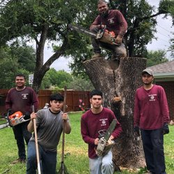 Jose Tree Service