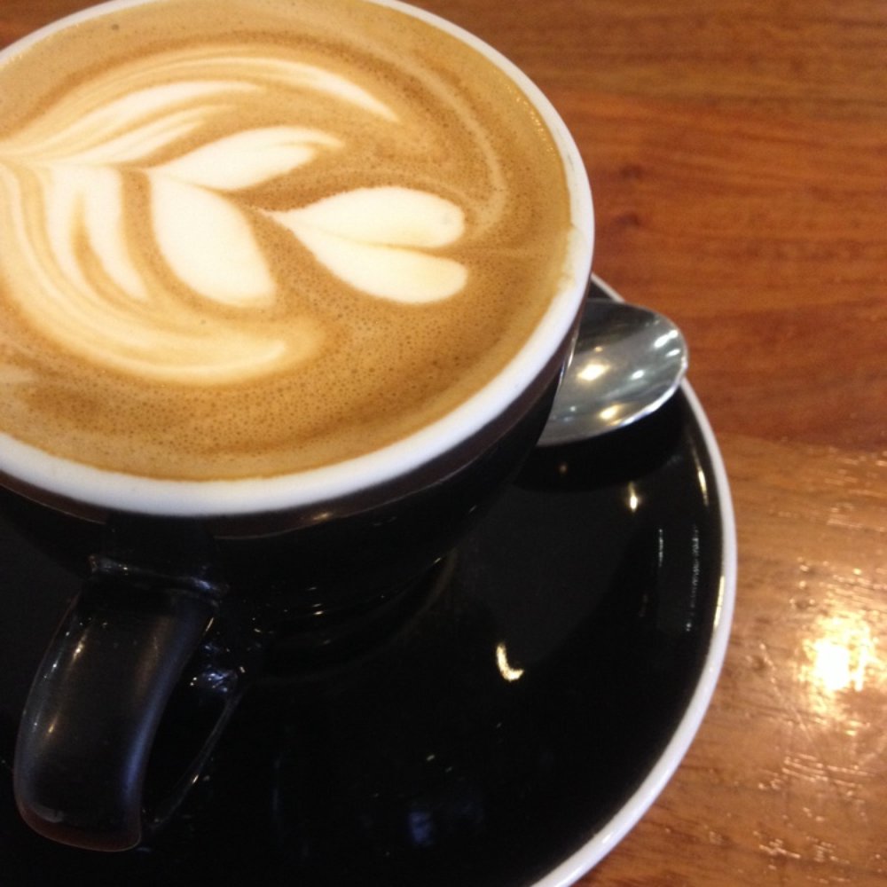 Pourboy Espresso - Flat White - Restaurants Near Me - Brisbane, QLD Pourboy Espresso - Flat White - Restaurants Near Me - Brisbane, QLD