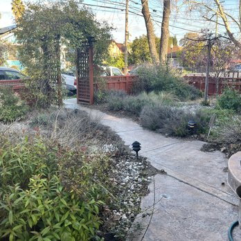 MAC Landscape - Front walkway- before - Landscaping Near Me MAC Landscape - Front walkway- before - Landscaping Near Me